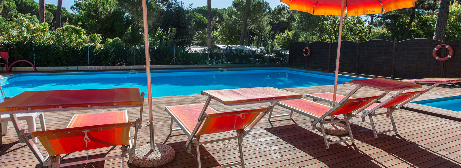 Fronte mare, in una pineta secolare