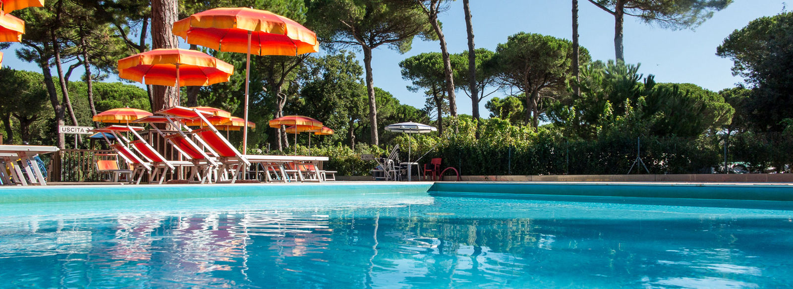 Fronte mare, in una pineta secolare