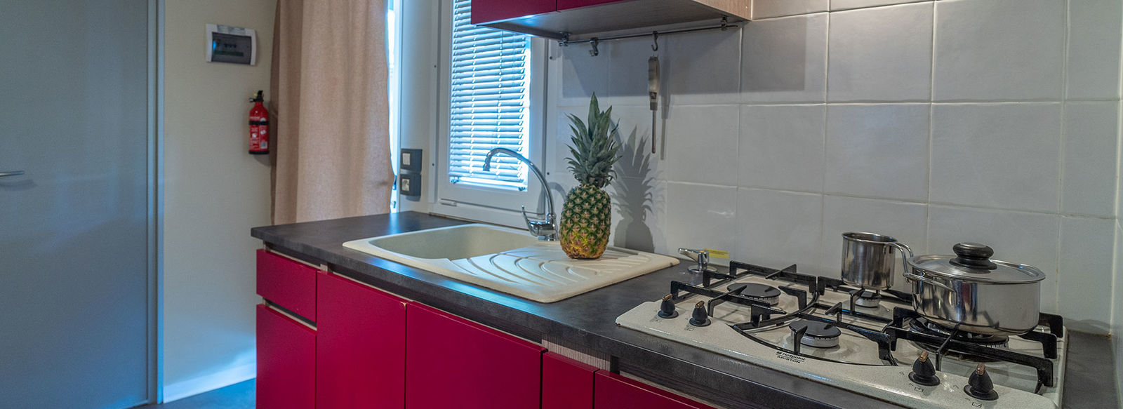 Fronte mare, in una pineta secolare