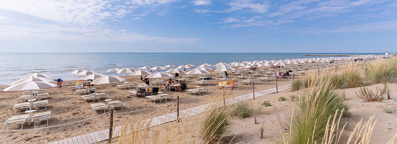 Immerso nella pineta, fronte mare