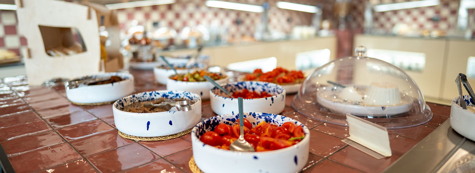 Tra le rocce millenarie della Costa Viola