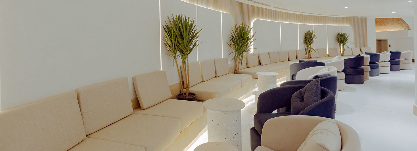 Barriera corallina incontaminata