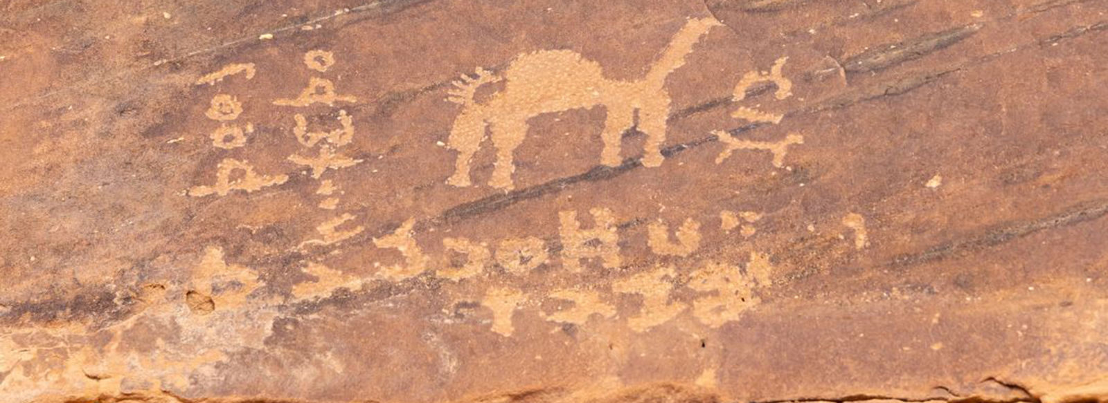 Alla scoperta delle meraviglie antiche e moderne dell'Arabia Saudita