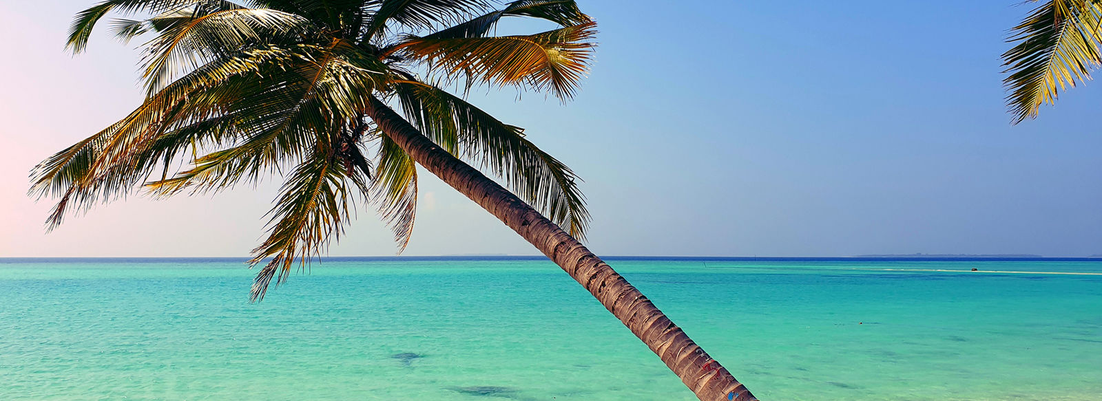 acque turchesi e barriera corallina incontaminata e ricca di colori