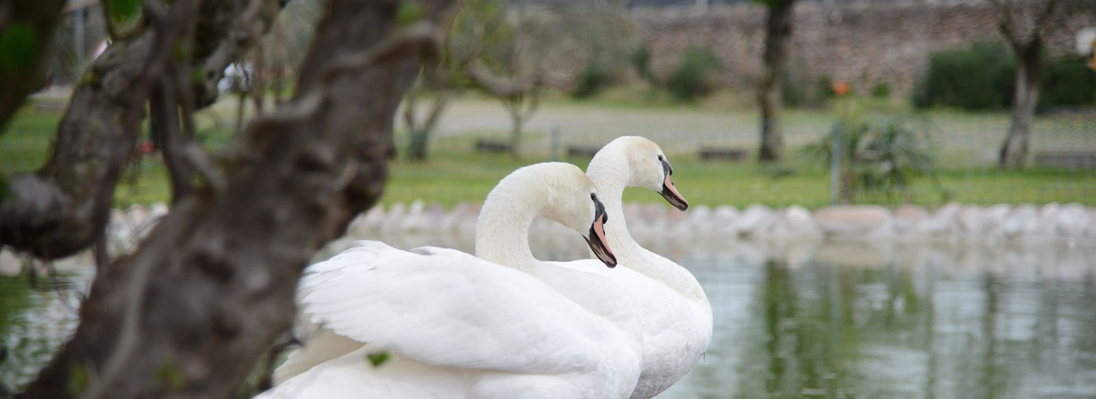 2.500 mq di wellness in Valpolicella