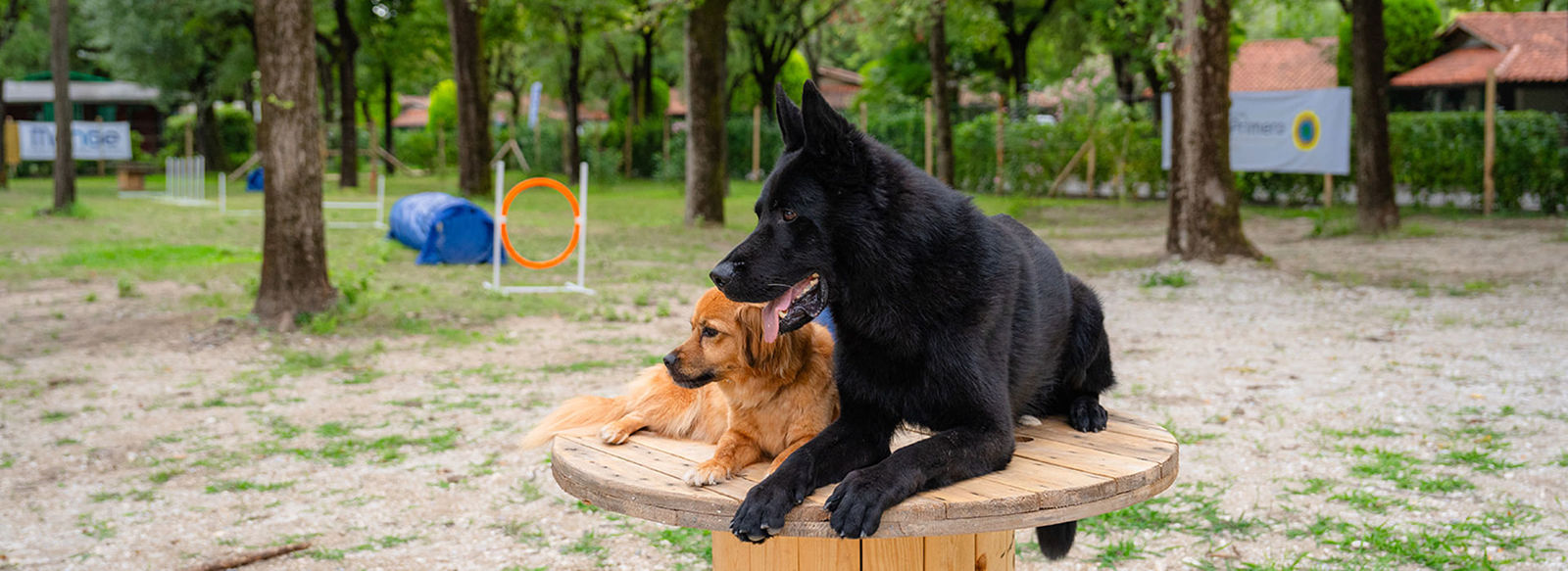 Incastonato nella pineta, a 200 metri dal mare