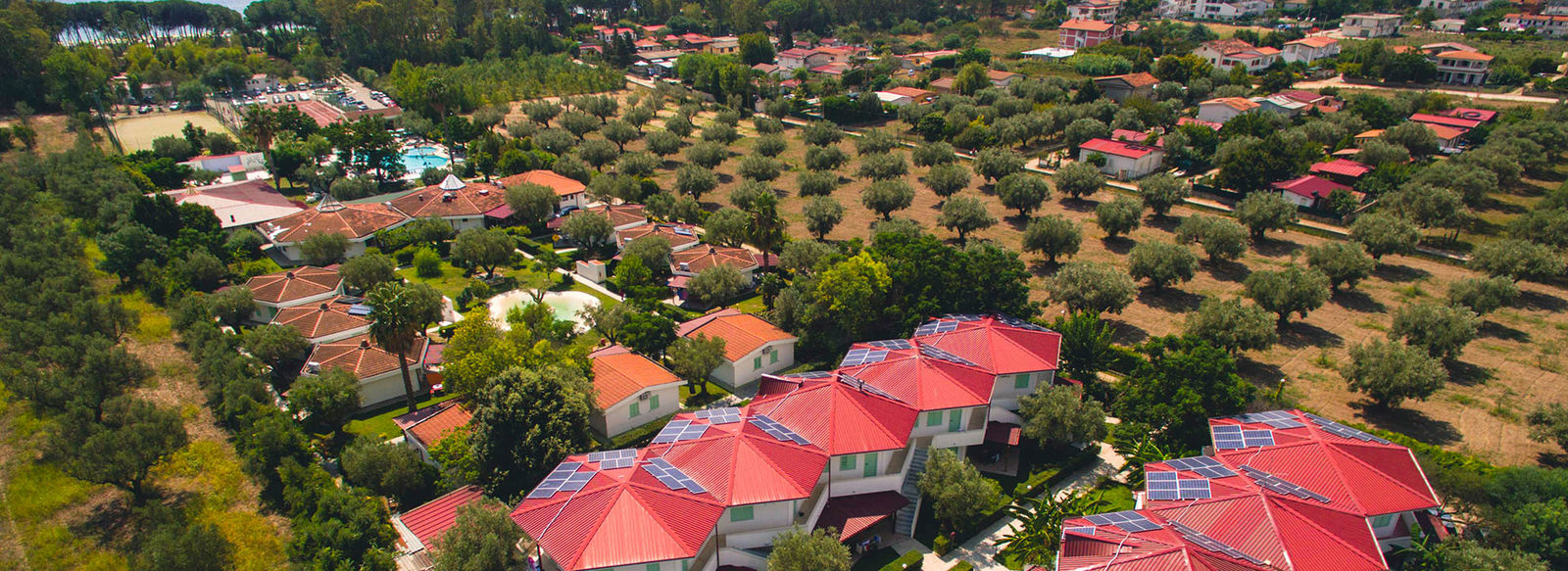 Immerso nel verde, fronte mare