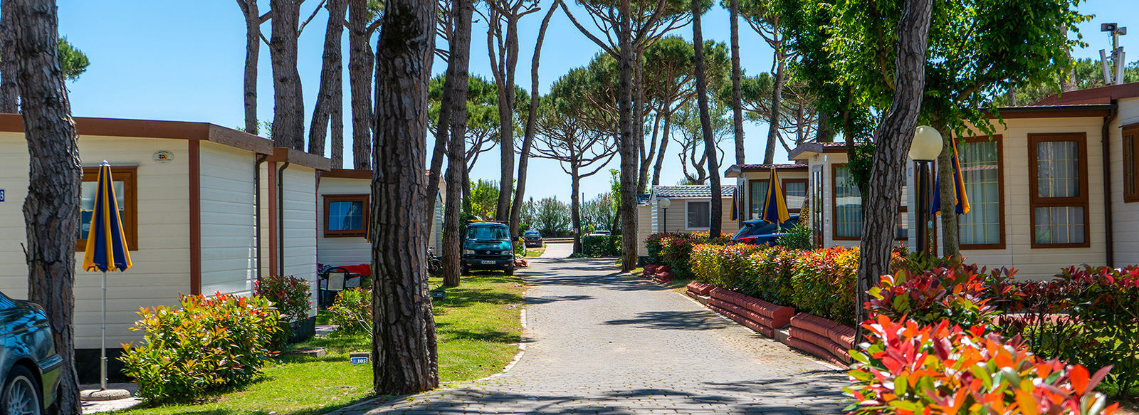 Area wellness di 1.840 mq e parco acquatico di 3.200 mq