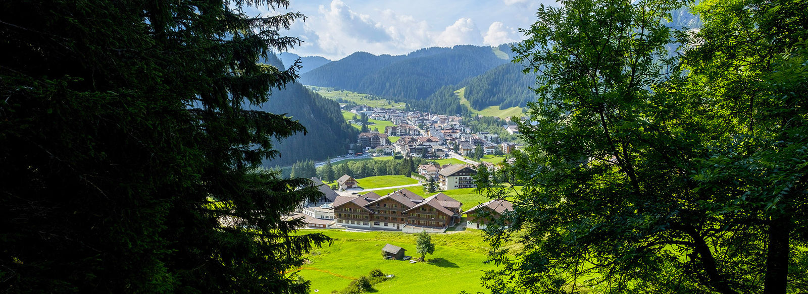 Alle pendici del Sassongher