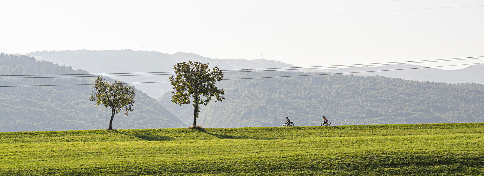 In e-bike tra le bellezze naturali ed enogastronomiche del Pavese