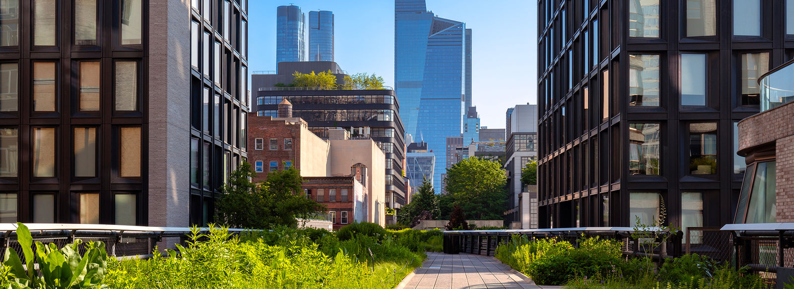 La Grande Mela in tutto il suo splendore estivo