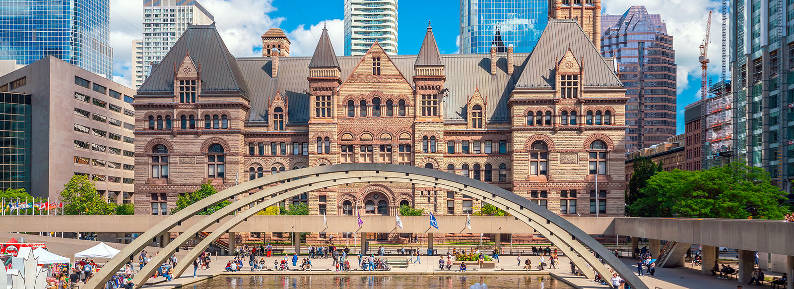 Tra metropoli, orsi, balene e cascate mozzafiato