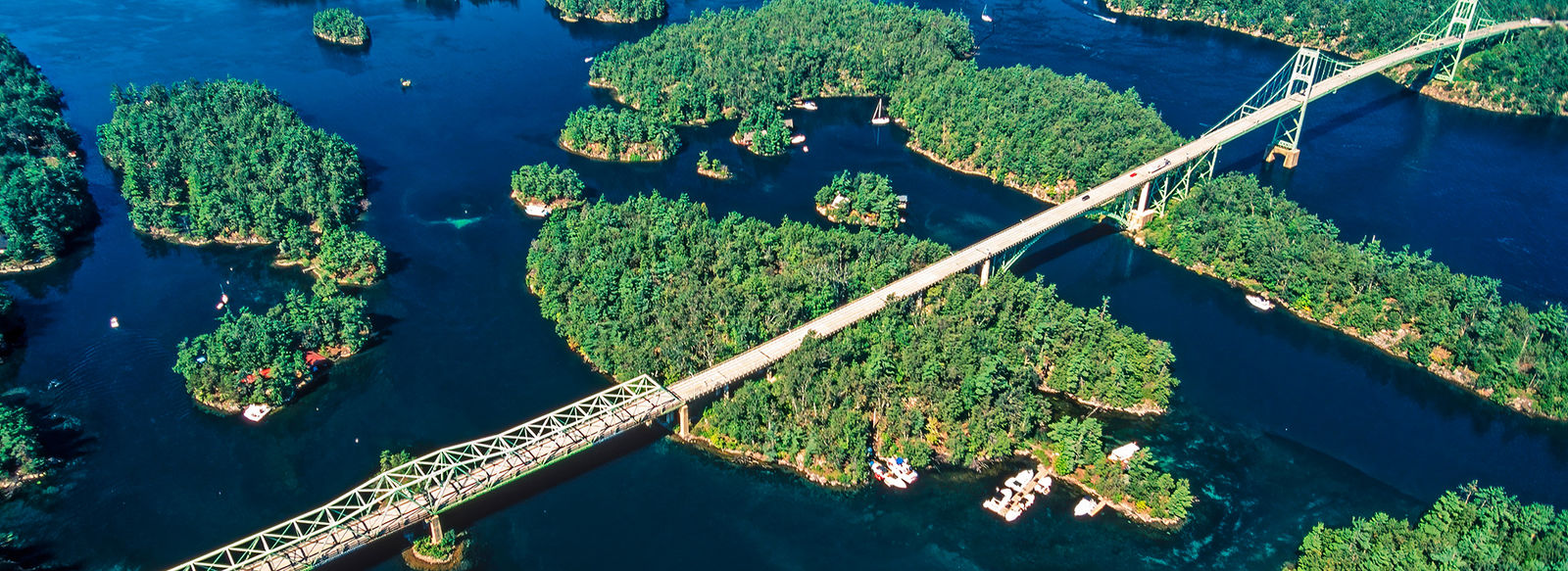 Tra metropoli, orsi, balene e cascate mozzafiato