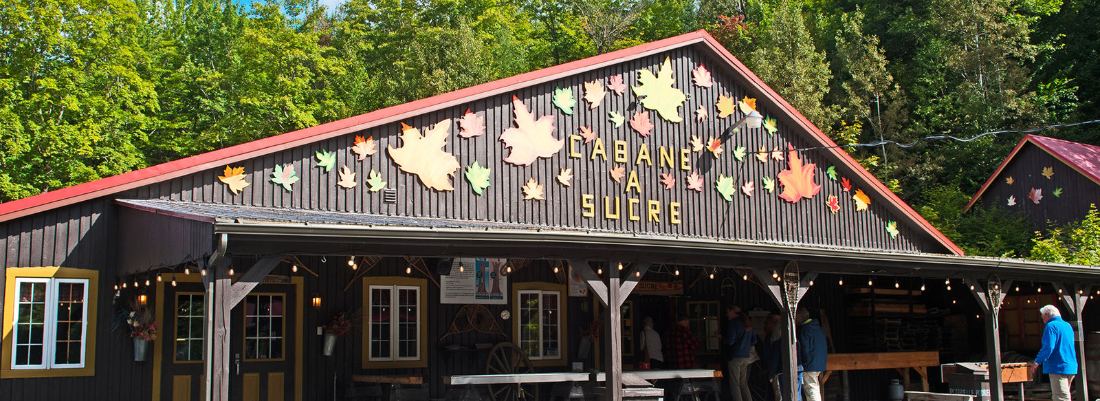 Tra metropoli, orsi, balene e cascate mozzafiato