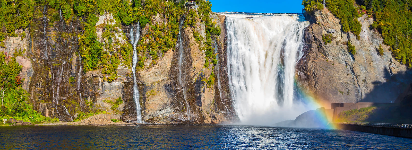 Tra metropoli, orsi, balene e cascate mozzafiato