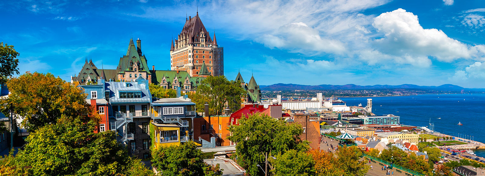 Tra metropoli, orsi, balene e cascate mozzafiato