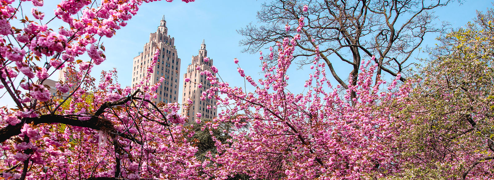 Alla scoperta di New York: da Central Park a Brooklyn