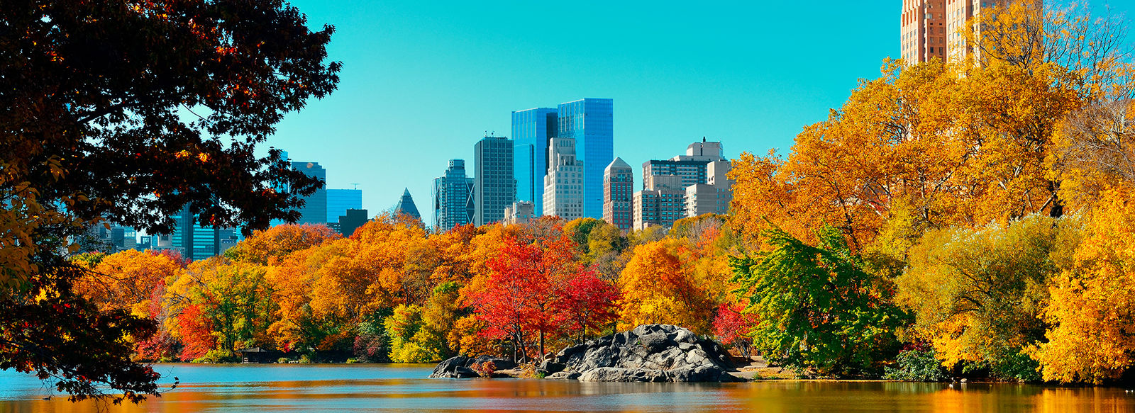 Vivi la magia di fine estate nella Grande Mela