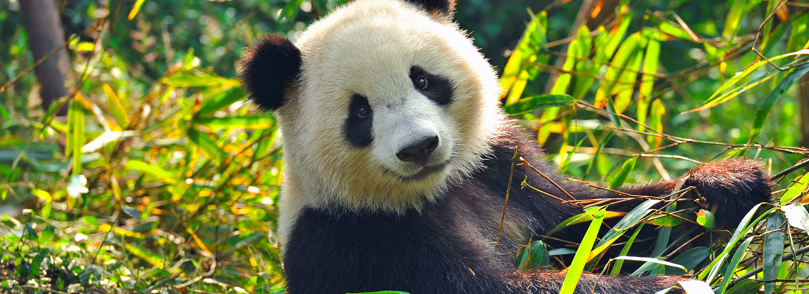 La Cina più autentica