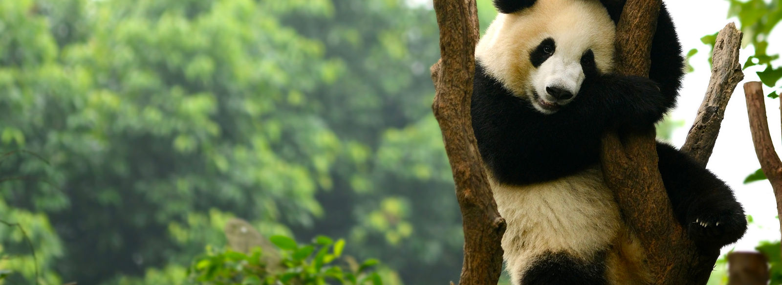 La Cina più autentica