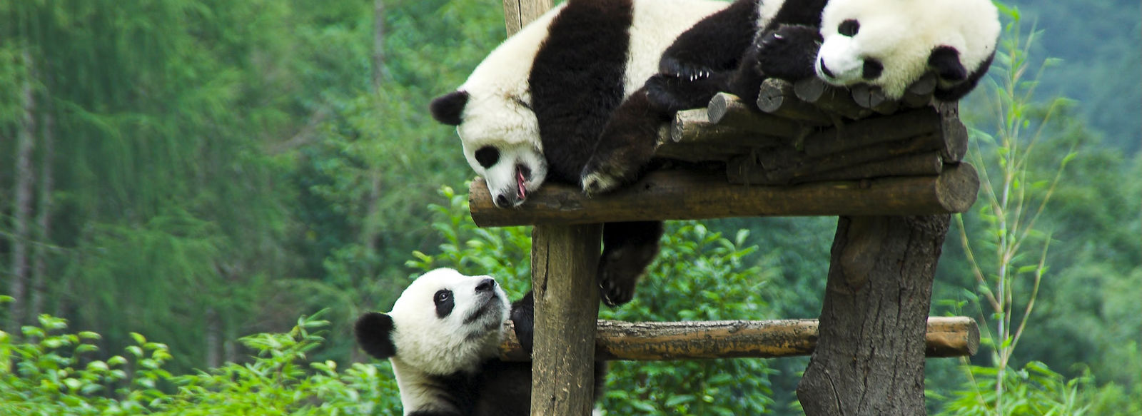 La Cina più autentica