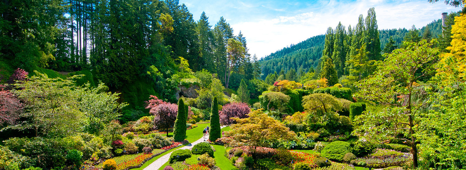 Ovest canadese iconico: tra parchi, laghi, balene e città
