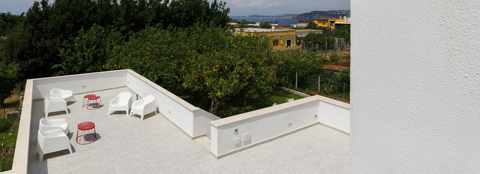 Tra i limoneti con vista sul mare di Procida