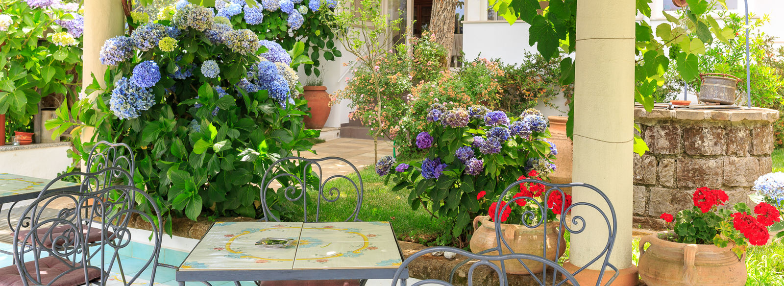 Sulle colline di Sorrento