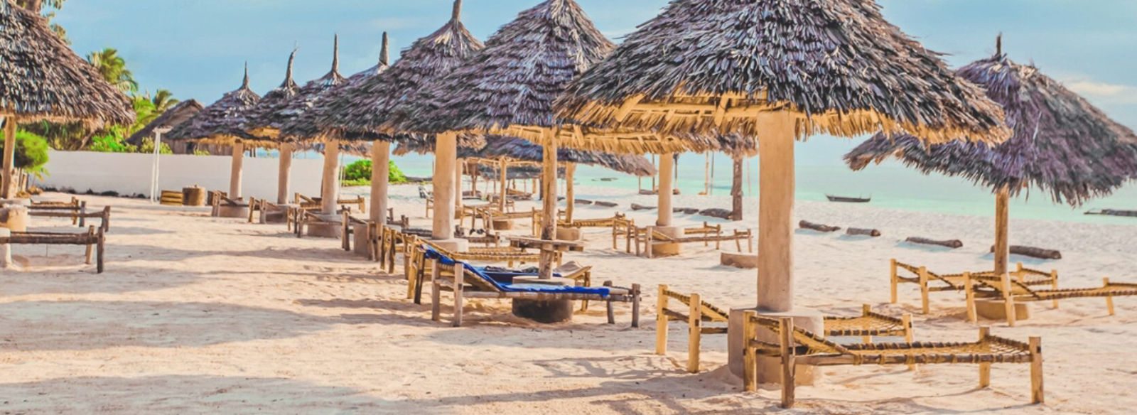 Tra spiagge magnifiche e la savana del Serengeti