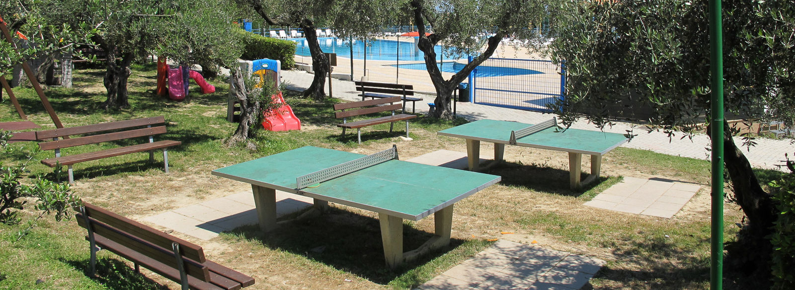 Tra 400 ulivi secolari, a 3 km dal mare della Costa del Cerrano