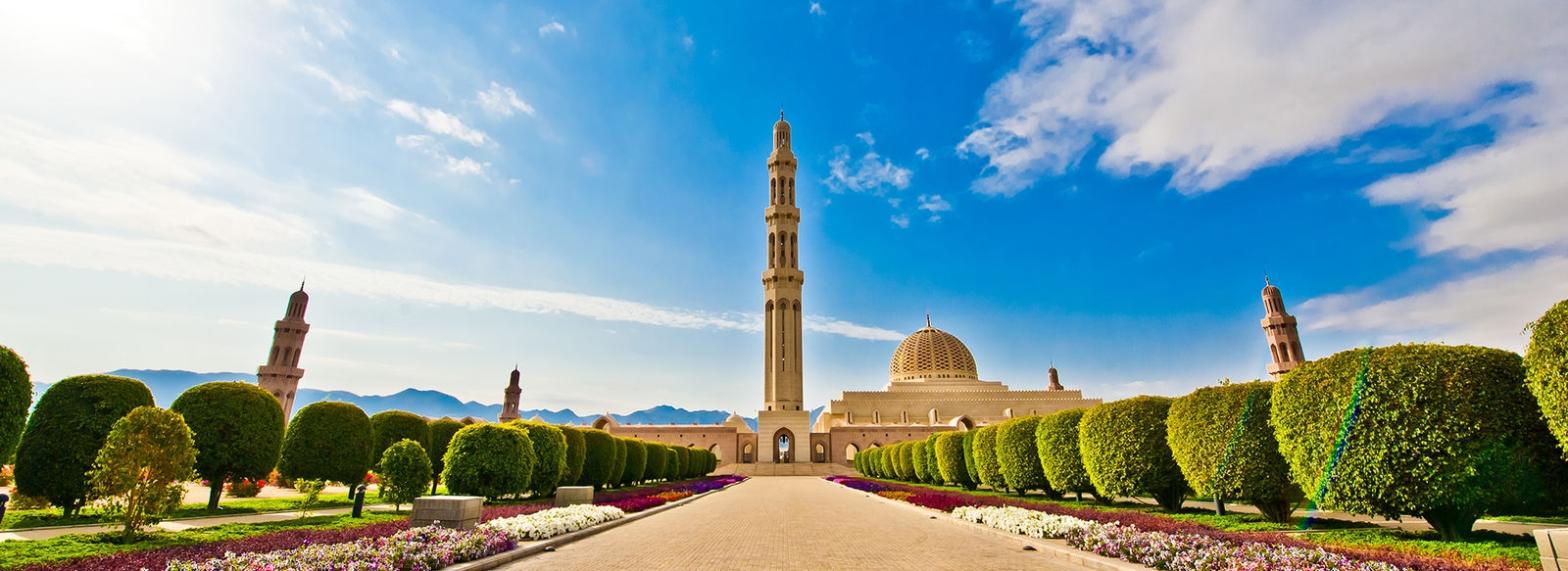 Tour alla scoperta degli Emirati, con i suoi incredibili contrasti: Dubai proiettata nel futuro, Abu Dhabi, modernissima ma che conserva tracce del suo passato.