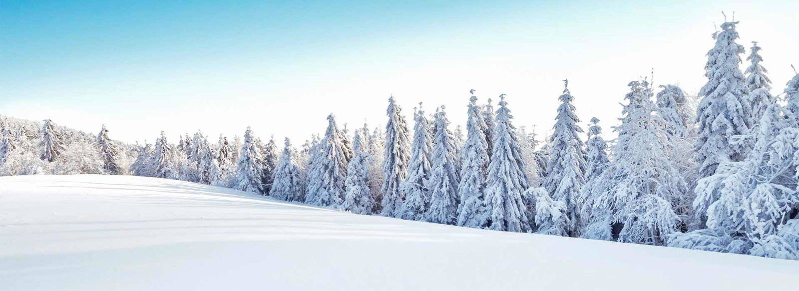 Family Village low cost sulle Dolomiti