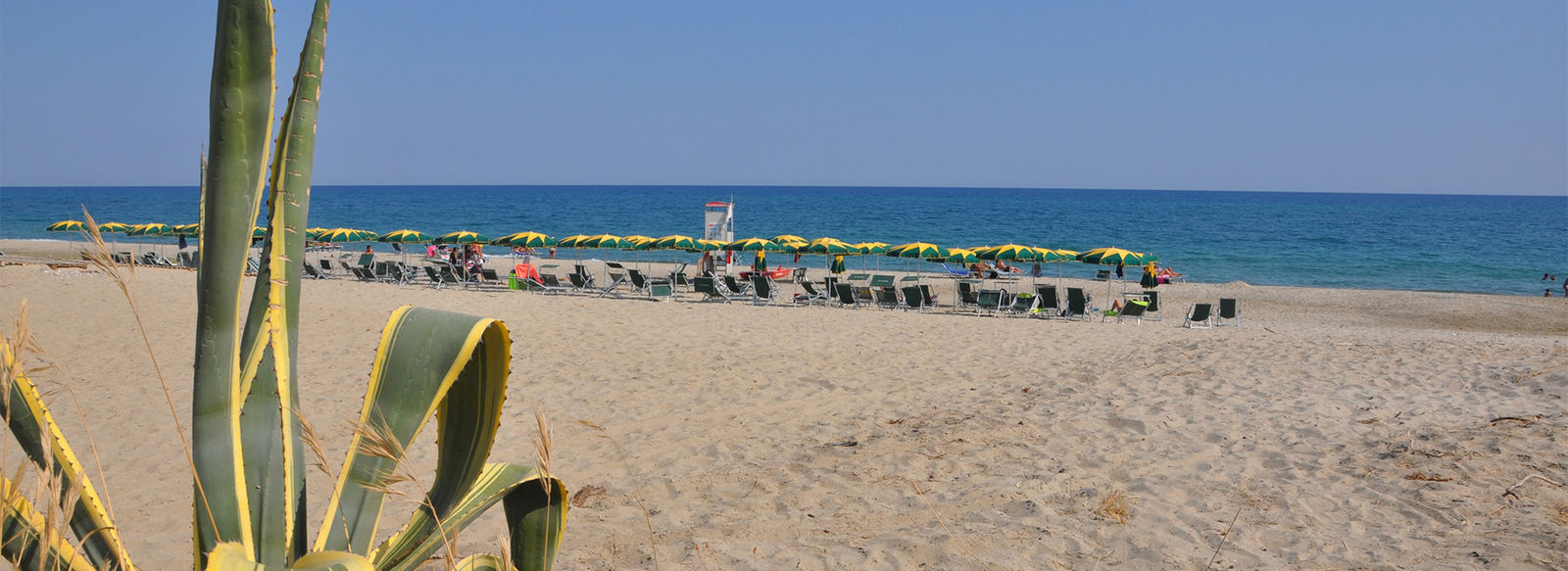 Oasi di relax immersa nel verde, fronte mare