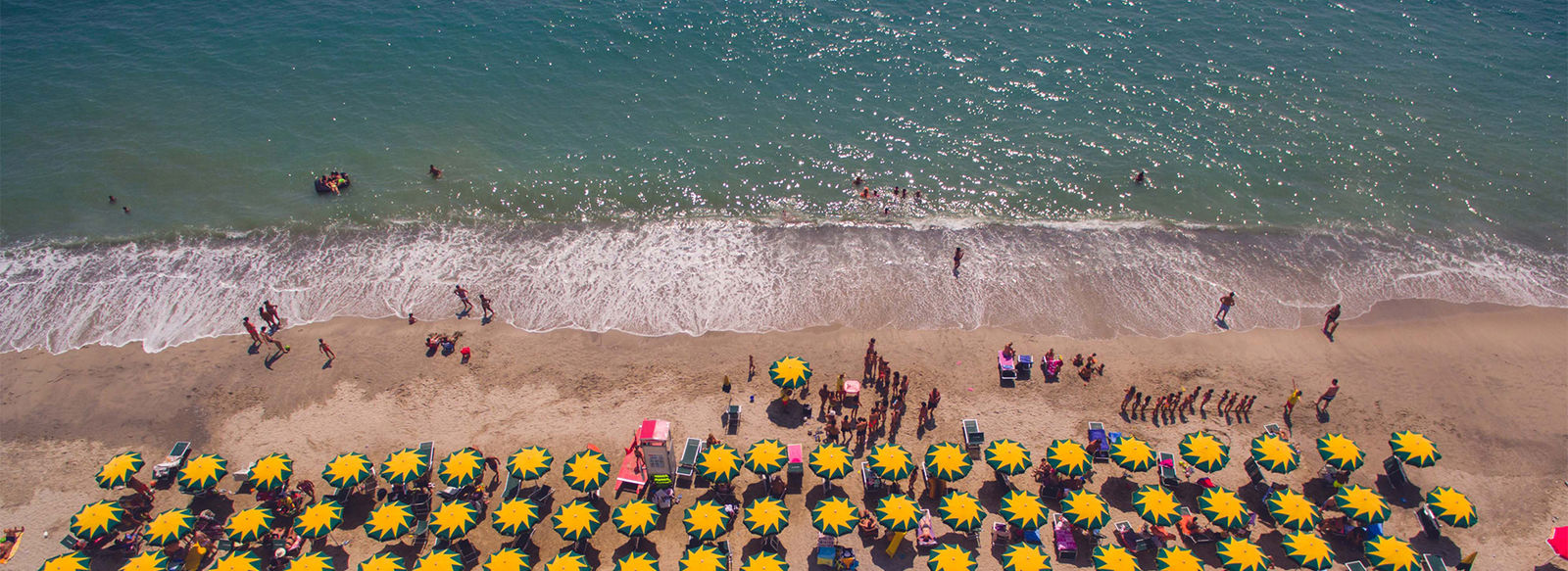 Oasi di relax immersa nel verde, fronte mare