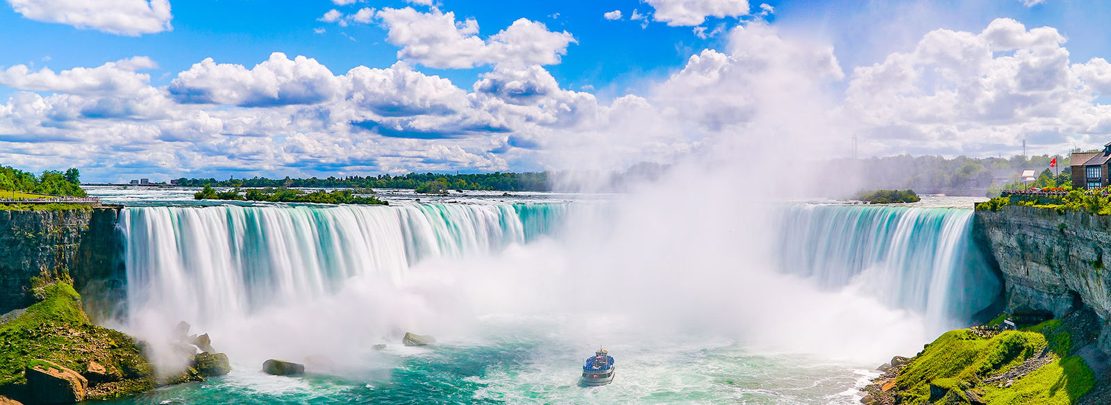 Tra metropoli, orsi, balene e cascate mozzafiato
