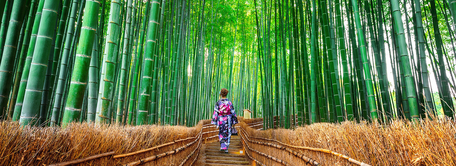 Tradizioni e templi antichi