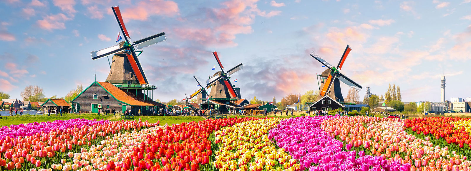 Secoli di storie tra arte e cultura