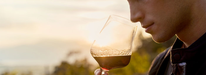 Wine tasting e bottiglia di vino omaggio