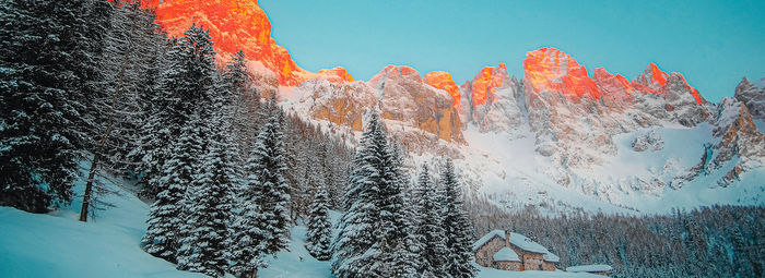 Ai piedi delle Pale di San Martino