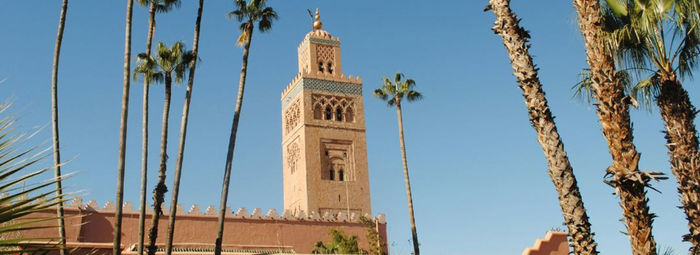 Da Marrakech a Fez: un tour tra le meraviglie del Marocco
