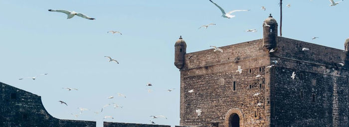 Marocco Imperiale: un viaggio tra storia, colori e meraviglia