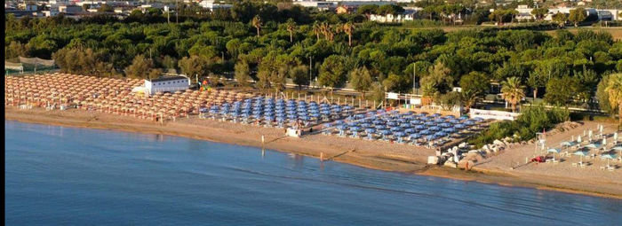 Oasi di pace tra ulivi secolari, palme e aceri