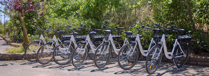 Nel suggestivo paesaggio della Maremma Toscana