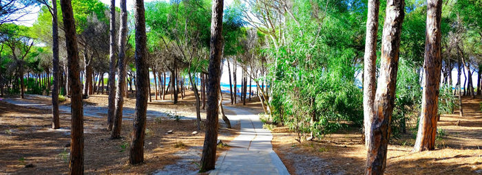 SELEMA CAMPING  - Siniscola (NU) Affacciato sulla rinomata spiaggia di Santa Lucia