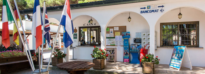 Fronte mare, in una pineta secolare