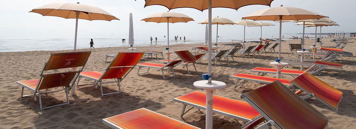 Fronte mare, in una pineta secolare