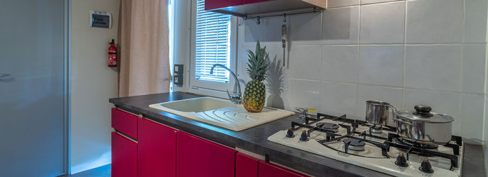 Fronte mare, in una pineta secolare