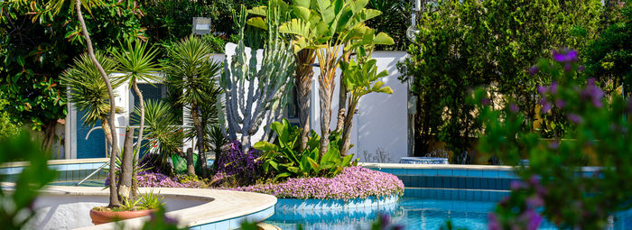 Soggiorno termale nel cuore di Ischia Porto