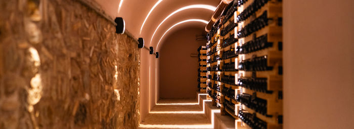 Tra le rocce millenarie della Costa Viola