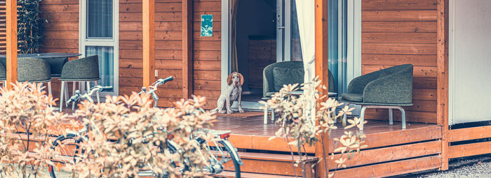 Incastonato nella pineta, a 200 metri dal mare
